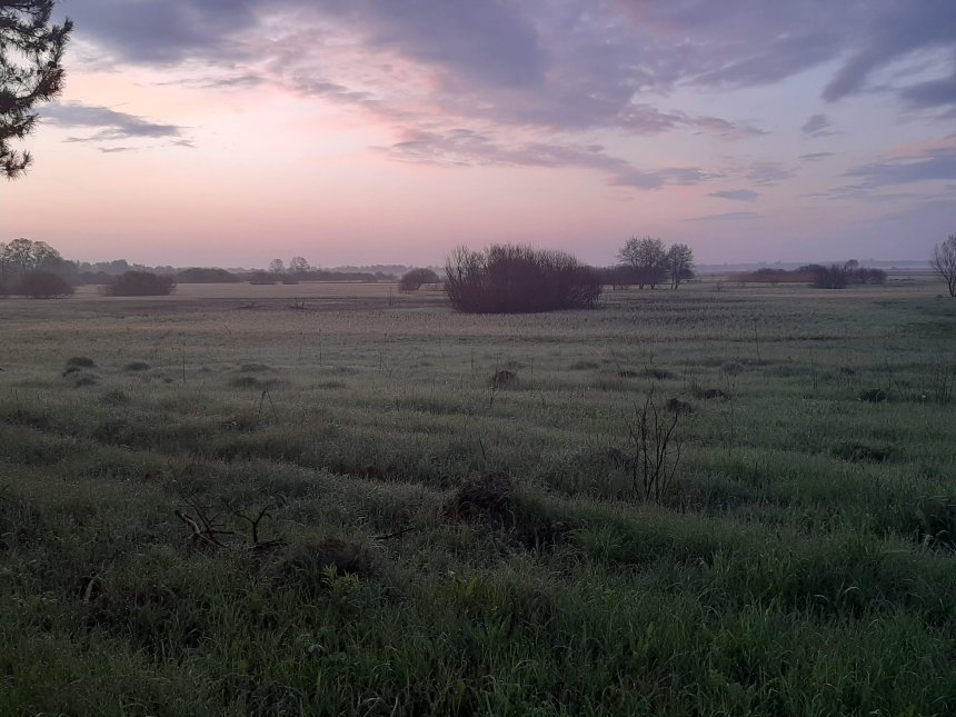 Рассвет - Юля