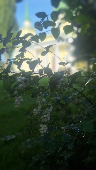 Простая красота -  