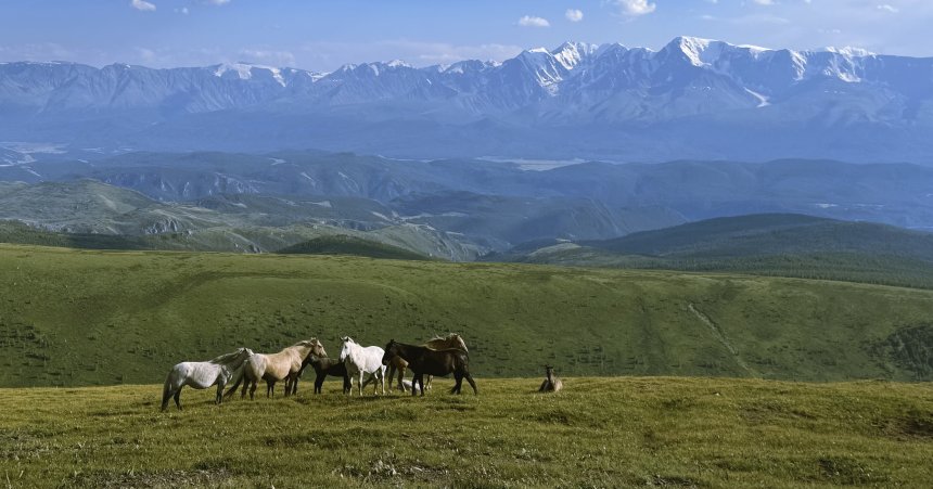 Мощь, сила и спокойствие -  