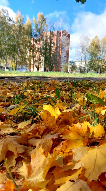 Та самая, золотая... - Венера Сабирова