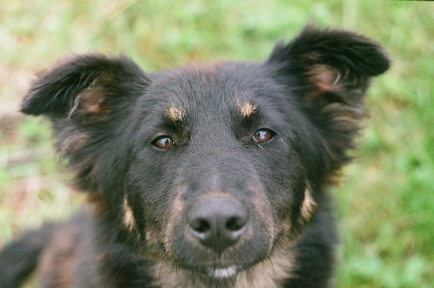 Случайное знакомство -  