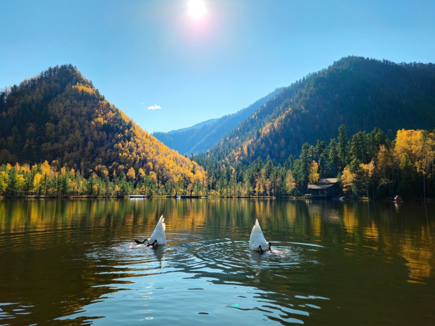 Поднять паруса! - Анастасия Вознесенская