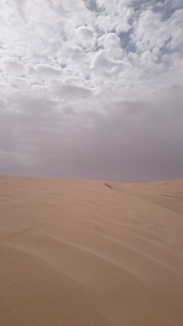 Тунис. Tunisia. - Наталья (1/3)