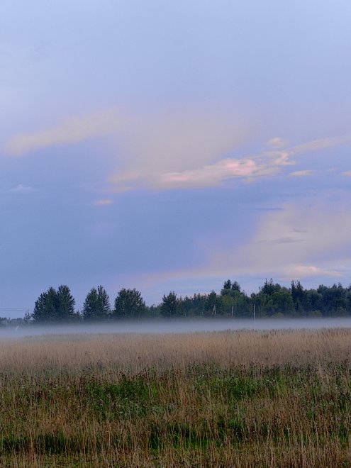 Утро туманное - Нина