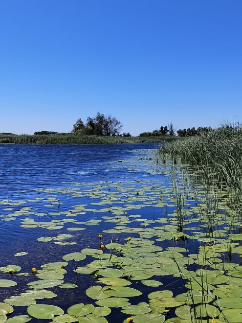 Волга плещет волной -  