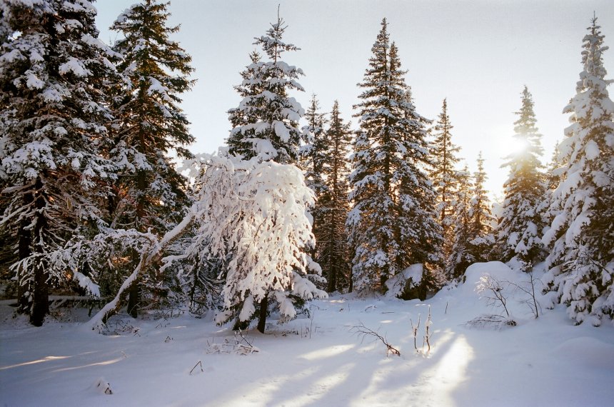 Долина сказок - Иван