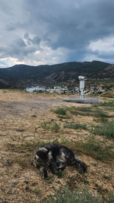 Горный хранитель - Ксения