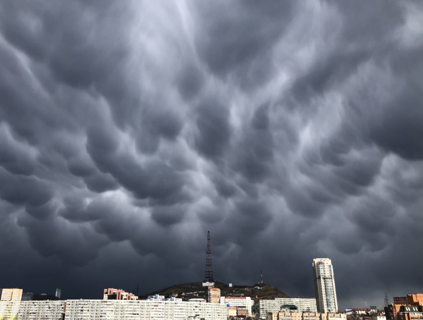 мамматусы облака - Диана