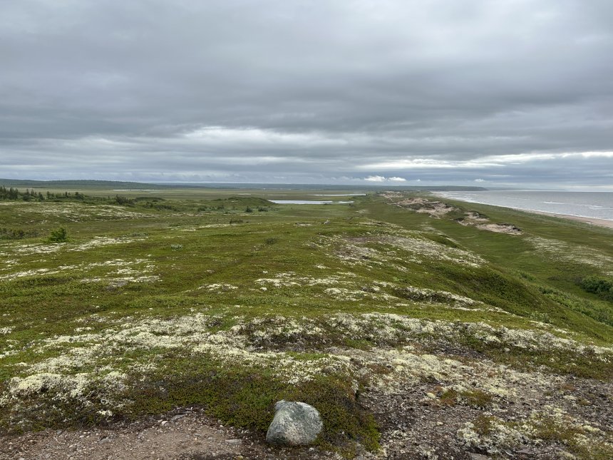 Суровое лето Арктики -  