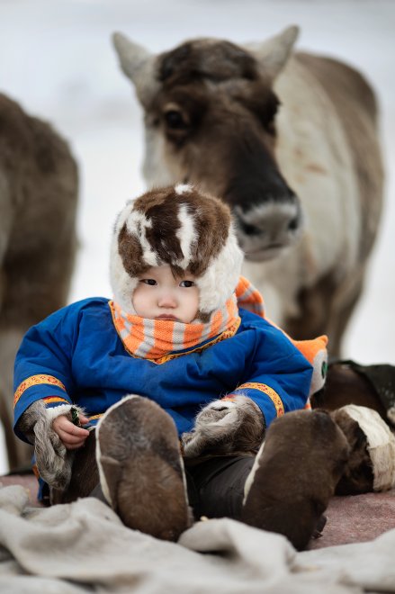 в ожидании забега на оленях - Михаил Подоляк