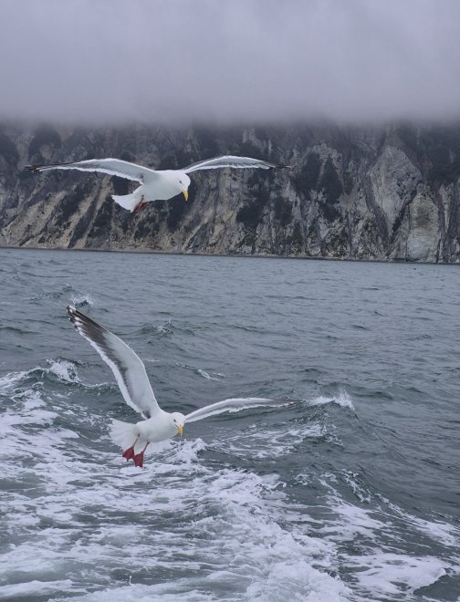 Обед - Наталья