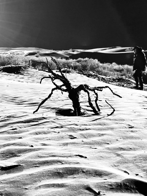 Астраханская пустыня ночью -  