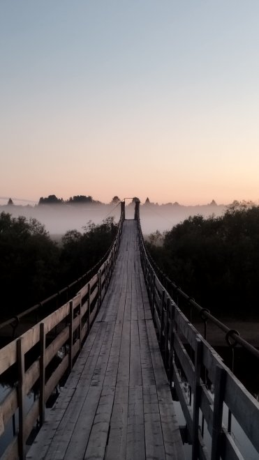 Ворота в сказочный туман -  