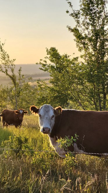 В лучах уходящего солнца - Александра