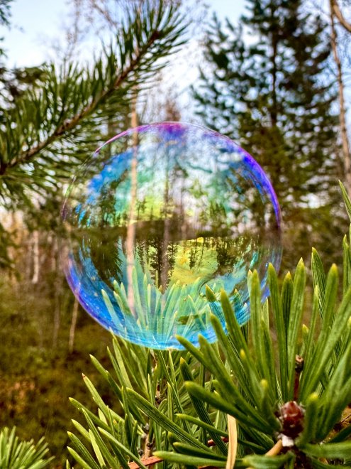 Волшебство мыльного пузыря. -  