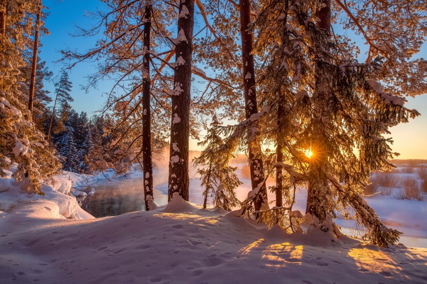 Магия зимнего леса на Белой Холунице - Юлия Калиничева