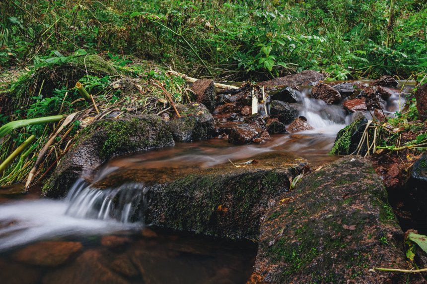 Живой ручей -  