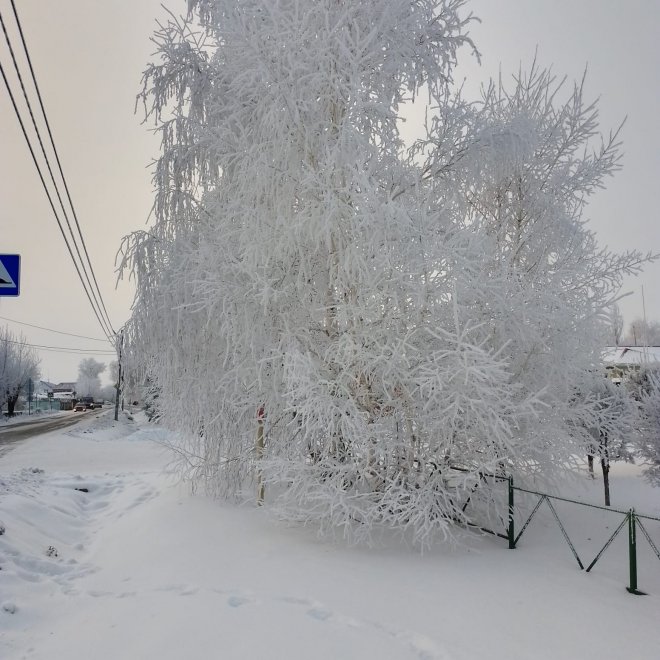 Снежная зима в Сибири -  
