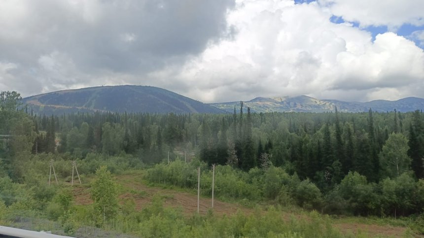 Зелёная гора. -  