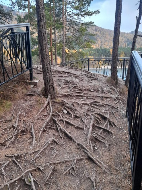 В нас тоже жизнь - Юлия