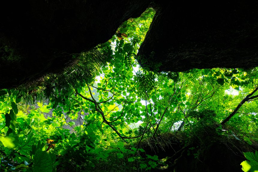 Экспедиция на Курильские острова - Антон (1/8)