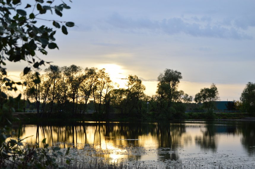 Безмятежность! - Дарья Казакова