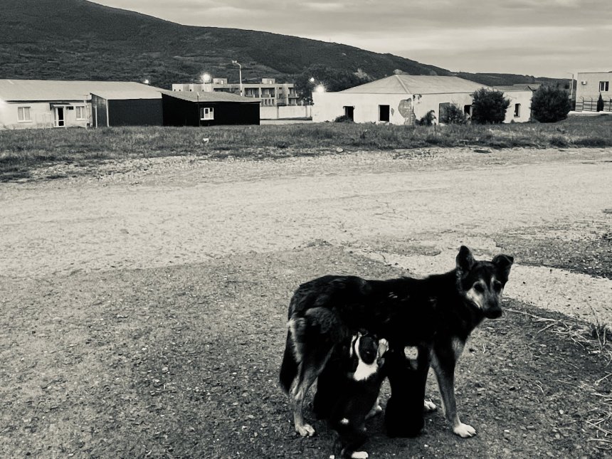 Мать - Ирина Бондарева