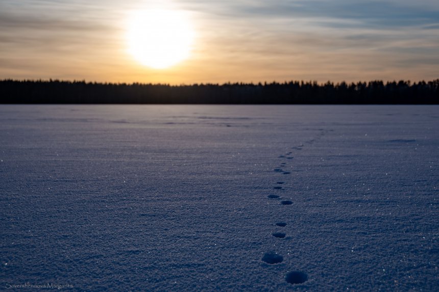 По следу к свету -  