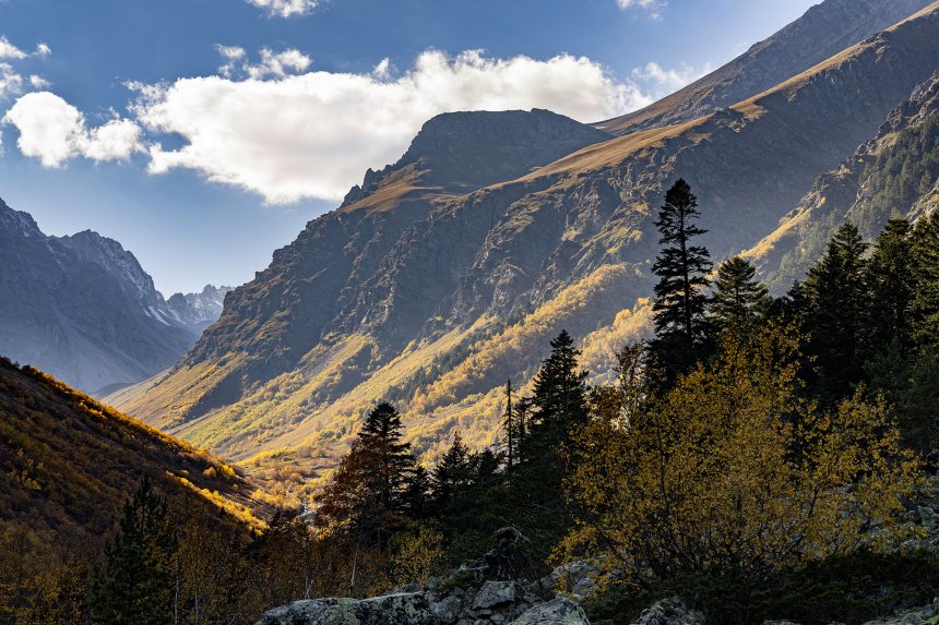 Оскнь великолепная! - Данил