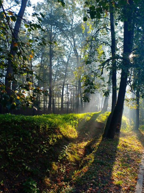 Волшебное утро - Тикаани