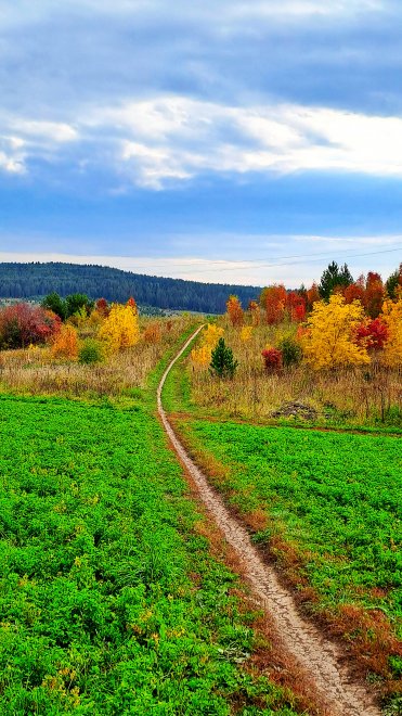 Тропинка к дому моему -  
