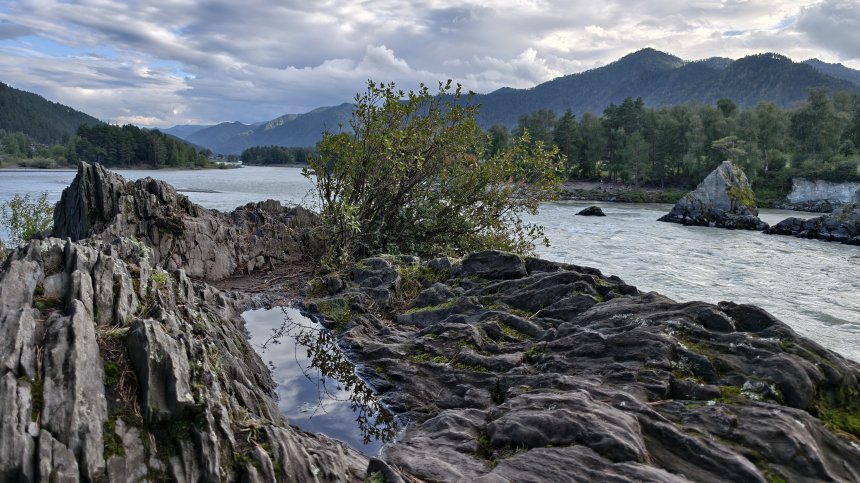 Чудо природы -  