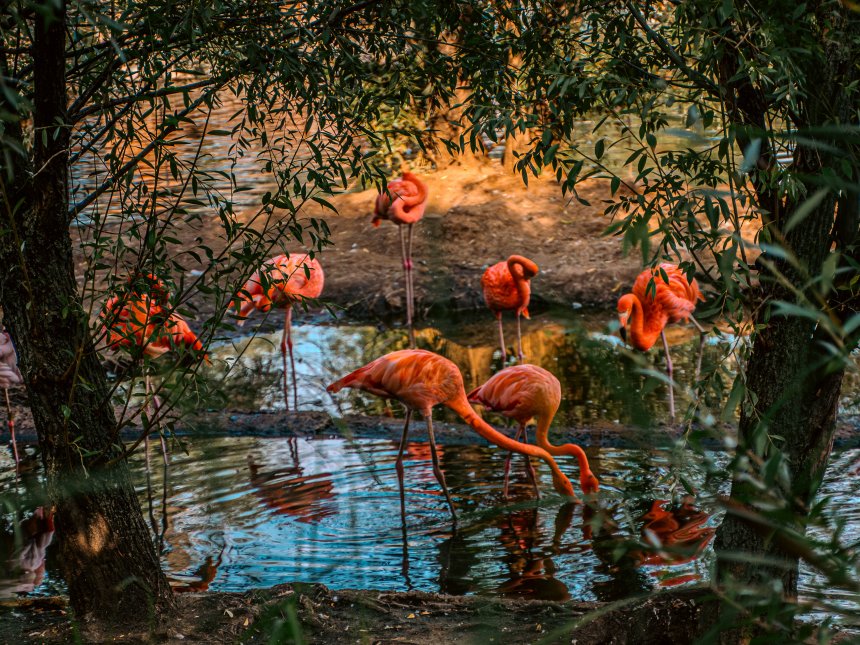 Семья - Оксана