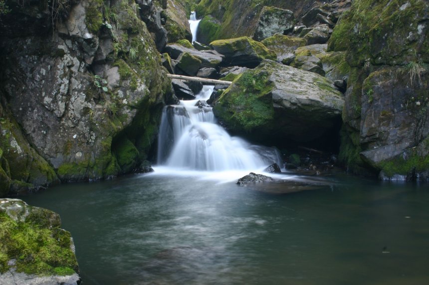 Шепот студёных вод - Алексей Амилющенко