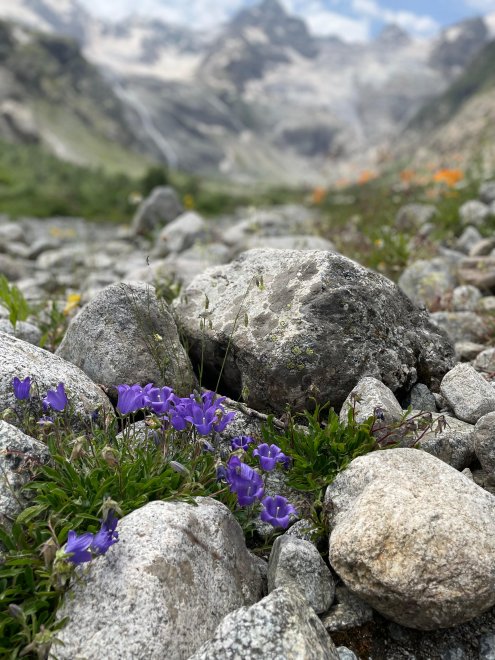 Ледник Тана - Александра