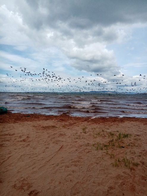 Тревожность -  