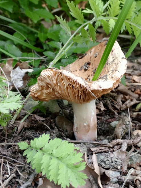 Случайная встреча -  