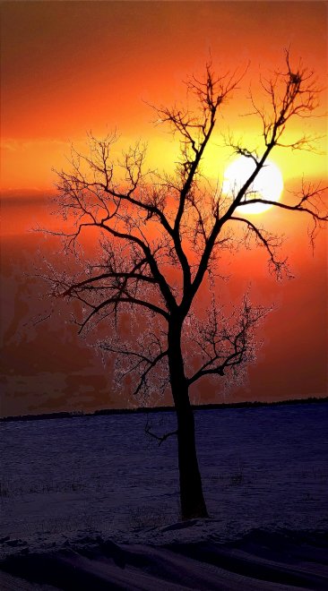 Закат Мегион - Олег Тулузаков