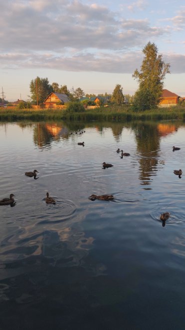 У пруда - Светлана