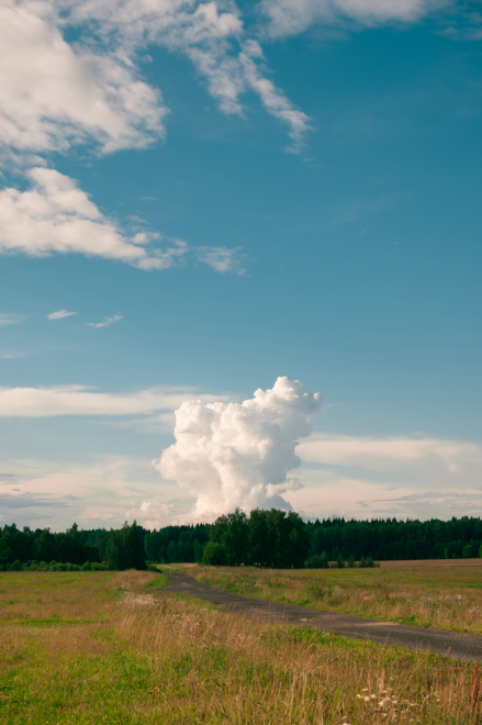 По законам лагеря - Денис (1/8)