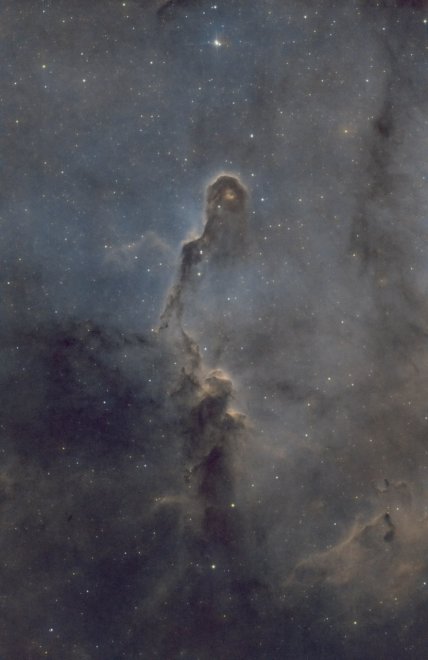 Хобот слона - Кристина