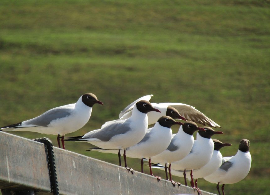 ожидание - Оксана
