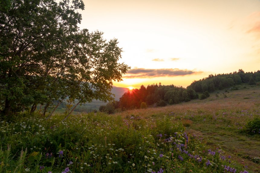 Тёплый летний вечер - Вадим Коваленко (1/8)
