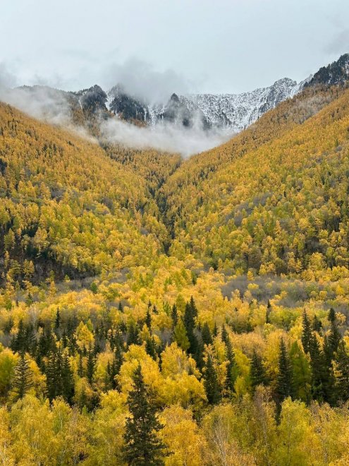 Посыпанный золотом Алтай - Ирина (1/8)