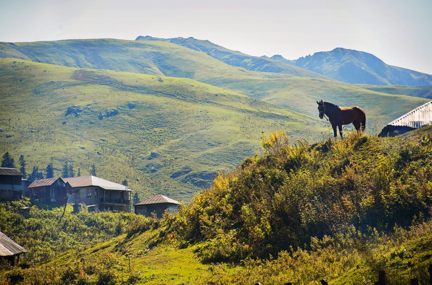 Бахмаро_1 - Alex Parshin