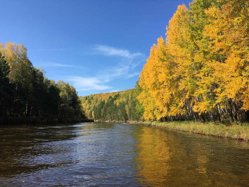 Золотая осень на реке/golden autumn by the river - isak.85@mail.ru