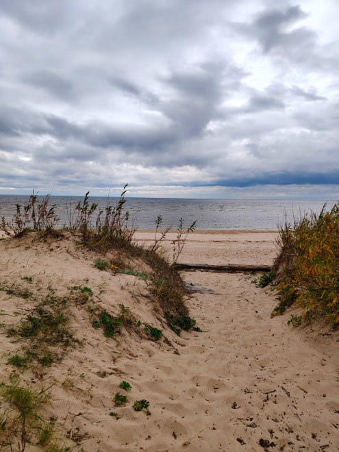 Один час на Белом море - Юлия Трифанова (1/5)