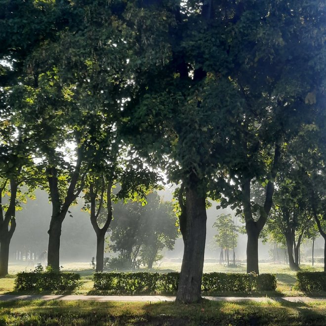 Утро в городском парке  (Morning in the city park) - Наталья Грицай