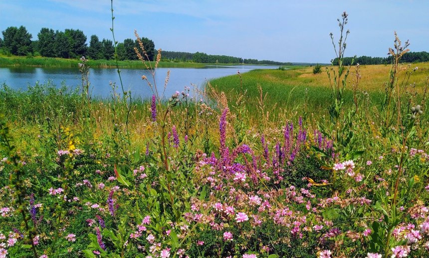 Буйство красок - Наталья