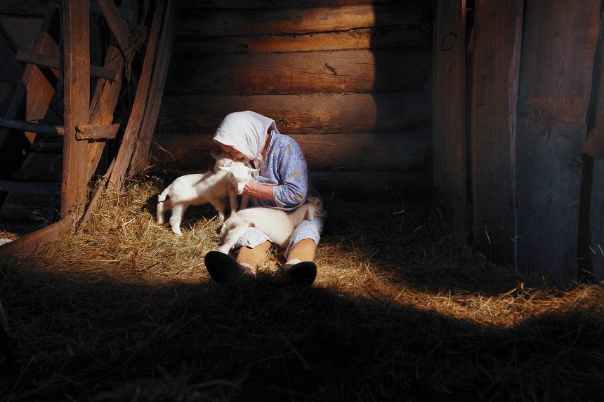 Бабушка с казлятами -  